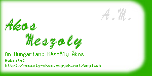 akos meszoly business card